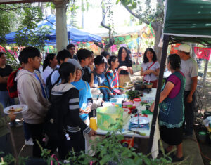 Curso-segunda-y-tercera-semana06