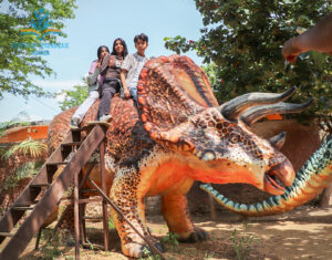 verano-primer-semana05