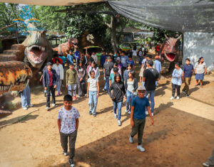 verano-primer-semana08